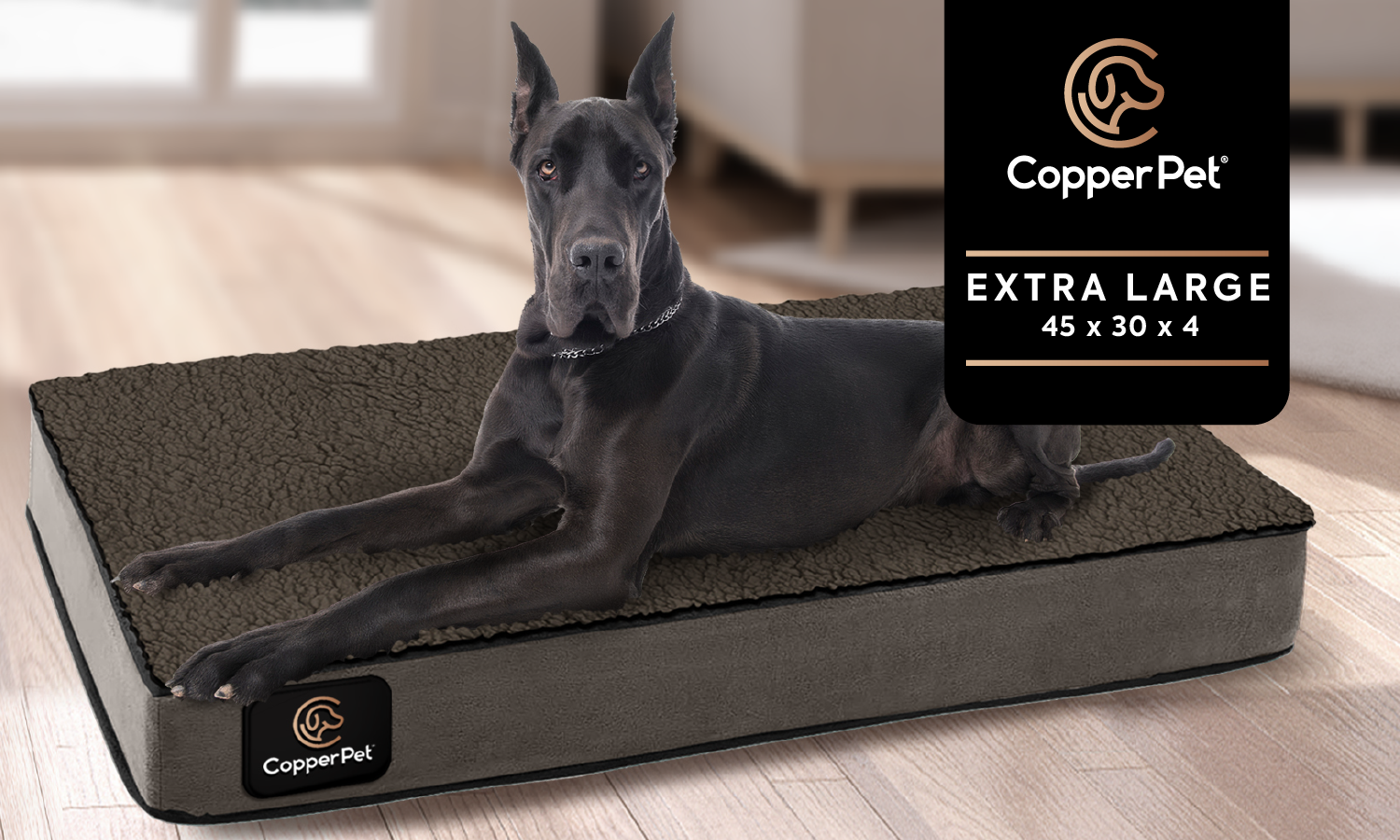 Copper dog crate clearance