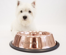Load image into Gallery viewer, Copper Water Bowl and Stainless Steel Food Bowl
