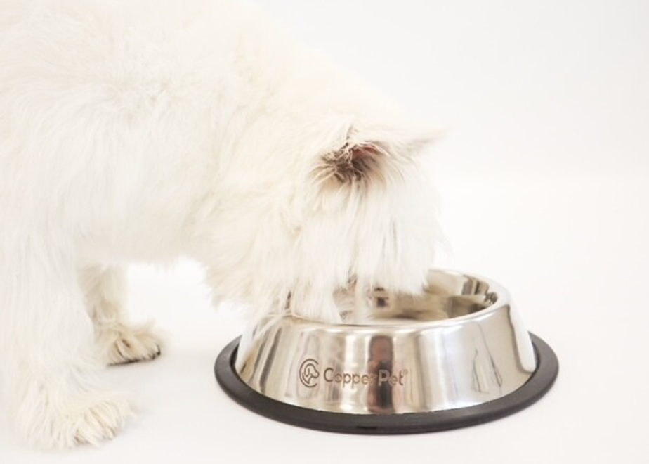 Copper Plated Water Pet Bowl 32 oz. by CooperPet Copper
